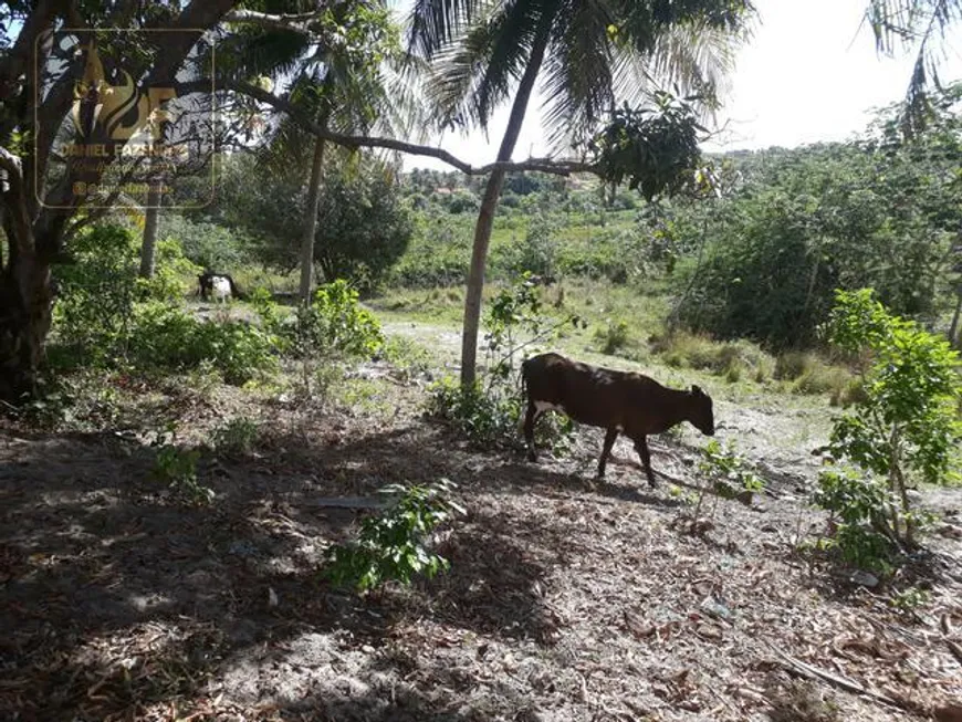 Foto 1 de Fazenda/Sítio com 5 Quartos à venda, 70000m² em Centro, Ceará Mirim