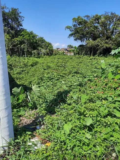 Foto 1 de Lote/Terreno à venda, 250m² em Centro, Mongaguá