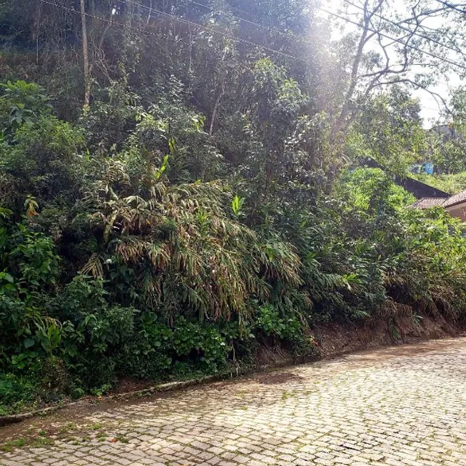 Foto 1 de Lote/Terreno à venda, 503m² em Quitandinha, Petrópolis