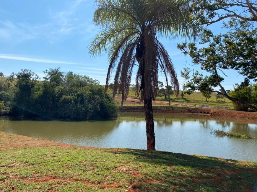 Foto 1 de Lote/Terreno à venda, 18000m² em Centro, Funilândia