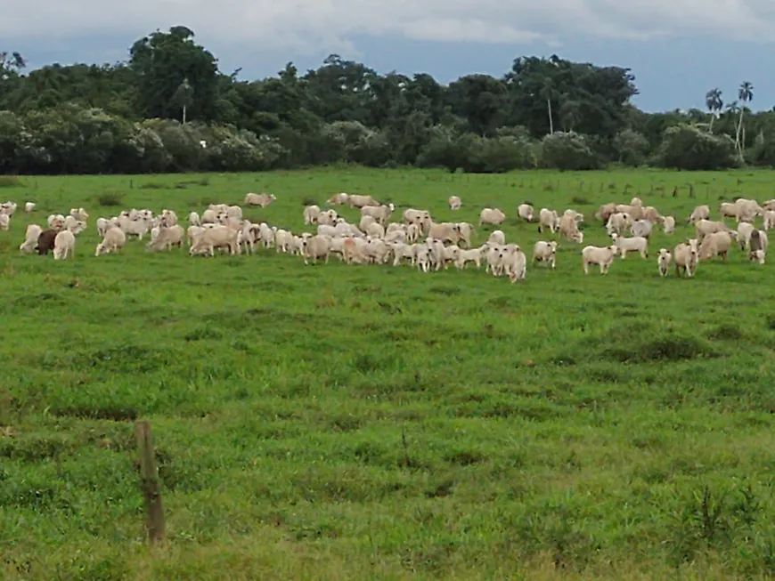 Foto 1 de Fazenda/Sítio à venda em Setor Central, Itarumã