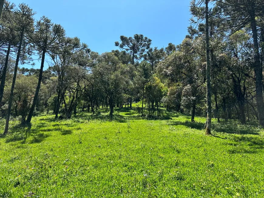 Foto 1 de Fazenda/Sítio à venda, 20000m² em , Urubici