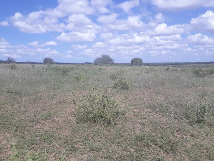 Foto 1 de Fazenda/Sítio com 5 Quartos à venda, 570000m² em Centro, 