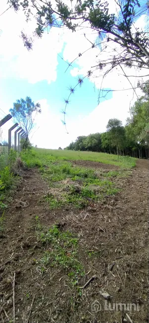 Foto 1 de Fazenda/Sítio com 1 Quarto à venda, 7500m² em Periquitos, Ponta Grossa