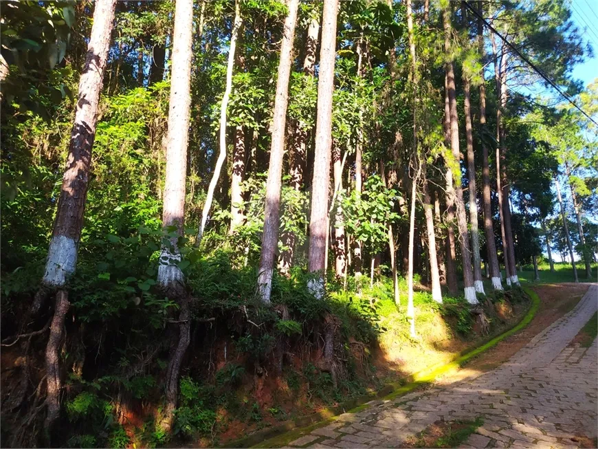 Foto 1 de Lote/Terreno à venda, 1500m² em Centro, São Roque