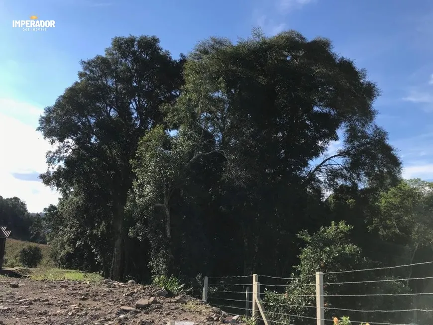 Foto 1 de Imóvel Comercial à venda, 79508m² em Nossa Sra. das Graças, Caxias do Sul