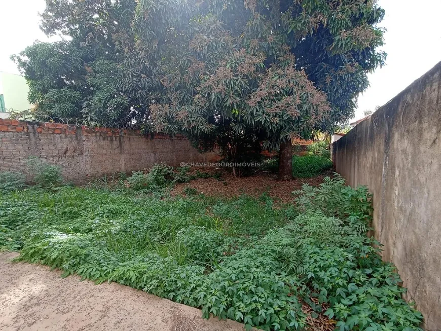 Foto 1 de Lote/Terreno à venda, 370m² em Nossa Senhora da Abadia, Uberaba