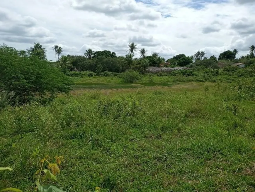 Foto 1 de Fazenda/Sítio à venda, 20000m² em Novo Amarante, São Gonçalo do Amarante