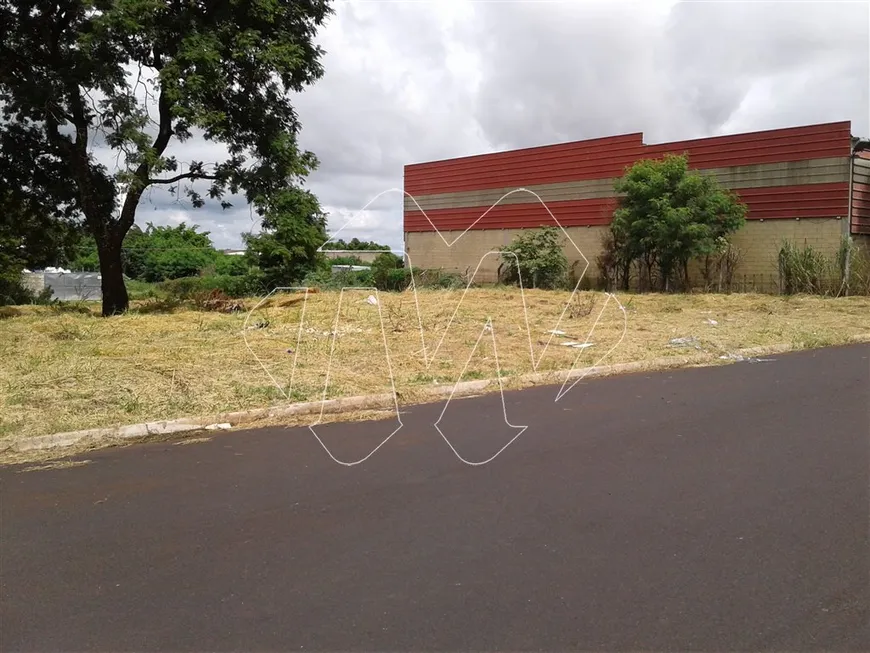 Foto 1 de Lote/Terreno à venda, 1m² em Jardim Regina, Araraquara