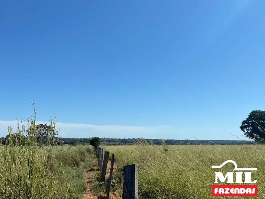 Foto 1 de Fazenda/Sítio à venda em Zona Rural, São Miguel do Araguaia