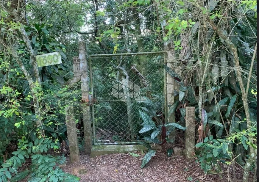 Foto 1 de Lote/Terreno à venda, 2016m² em Ponta Grossa, Porto Alegre