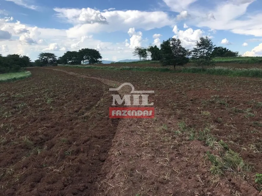 Foto 1 de Fazenda/Sítio à venda, 116m² em Zona Rural, Caturaí