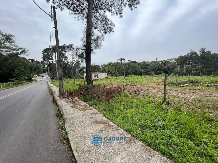 Foto 1 de Lote/Terreno à venda, 10790m² em Jardim Itália, Caxias do Sul