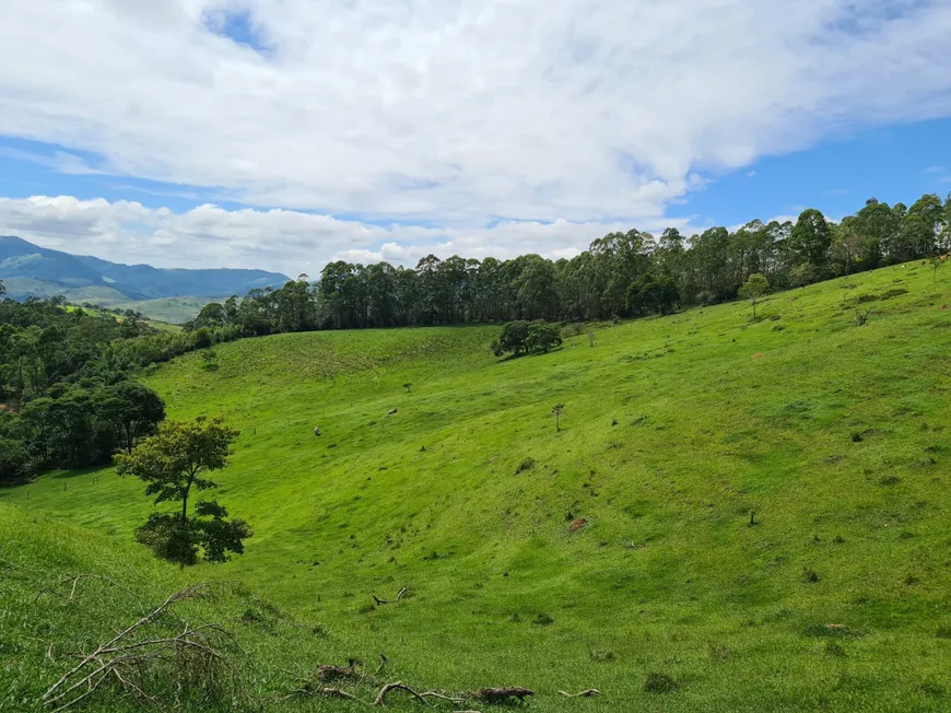 Foto 1 de Fazenda/Sítio à venda, 169400m² em Area Rural, Piracaia