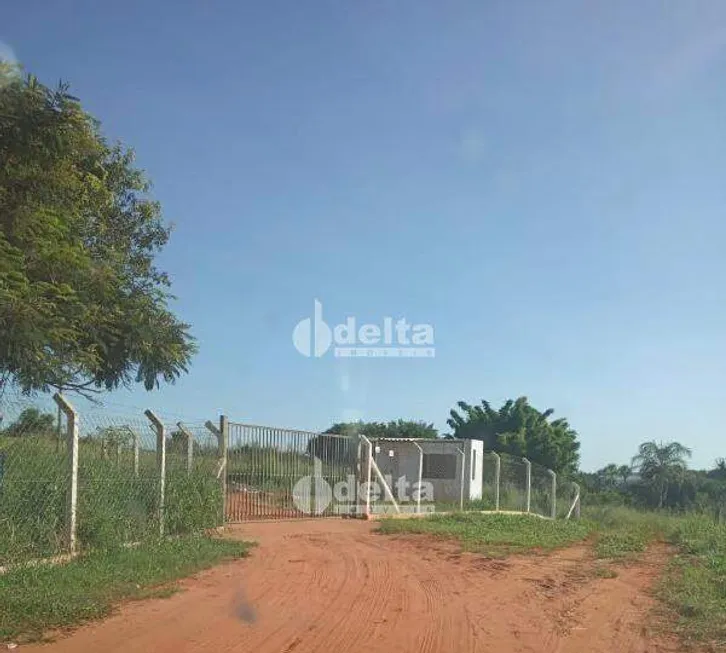 Foto 1 de Fazenda/Sítio à venda, 2100m² em Area Rural de Uberlandia, Uberlândia