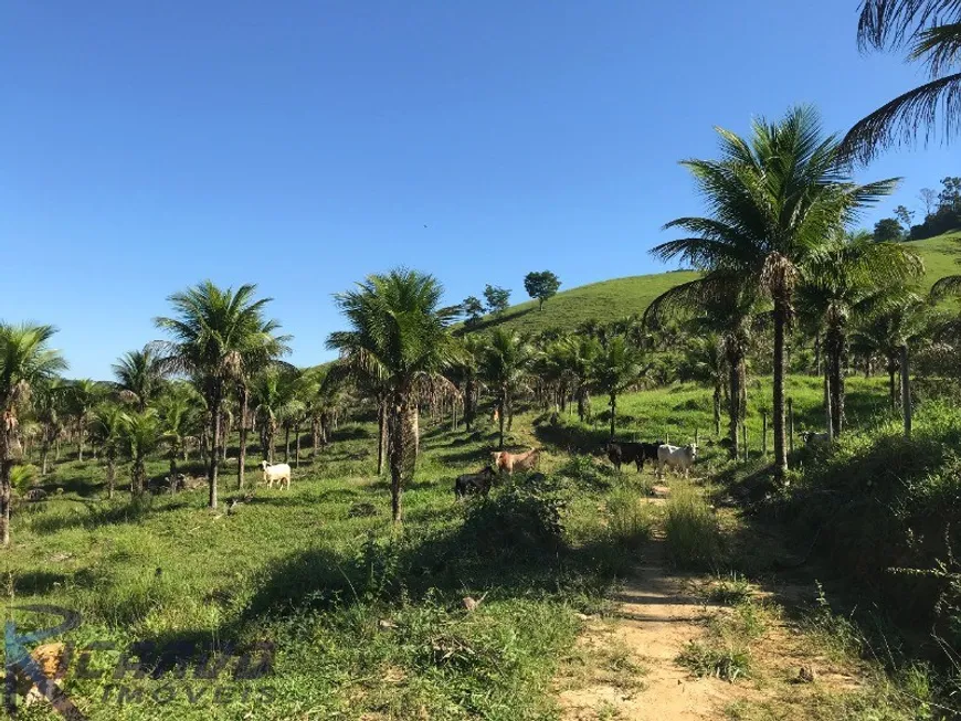 Foto 1 de Fazenda/Sítio com 2 Quartos à venda, 717000m² em Comunidade Urbana de Jaboti, Guarapari
