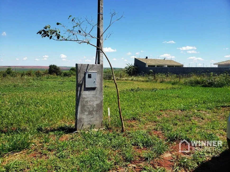 Foto 1 de Fazenda/Sítio com 1 Quarto à venda, 1000m² em , Iguaraçu