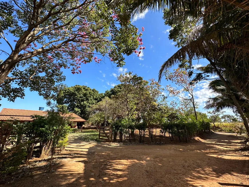 Foto 1 de Fazenda/Sítio com 3 Quartos à venda, 8913m² em Setor Central , Bela Vista de Goiás