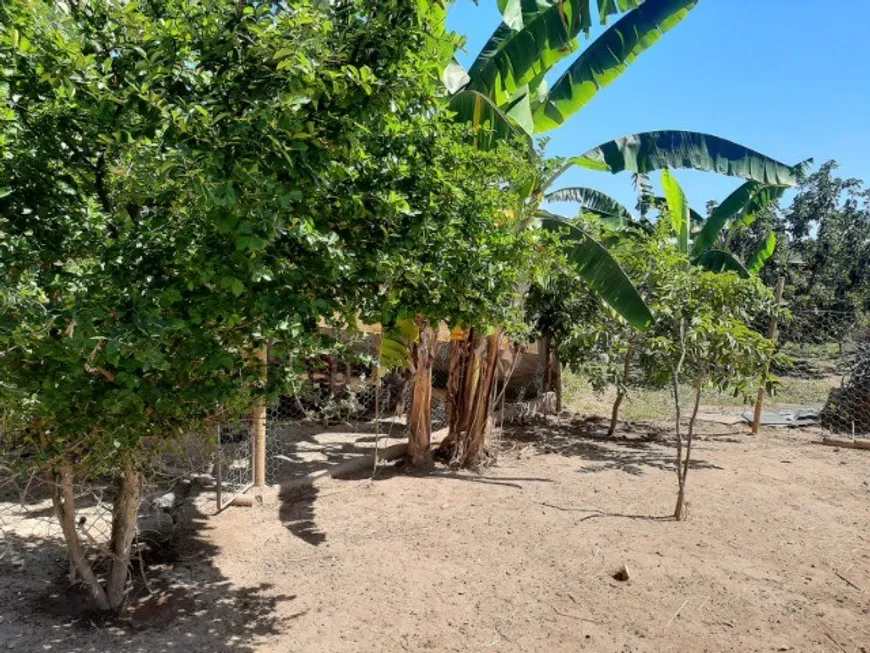 Foto 1 de Fazenda/Sítio com 2 Quartos à venda, 10000m² em Area Rural de Montes Claros, Montes Claros