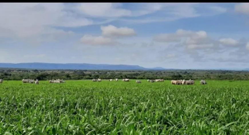 Foto 1 de Fazenda/Sítio à venda em Centro, Alvorada do Norte