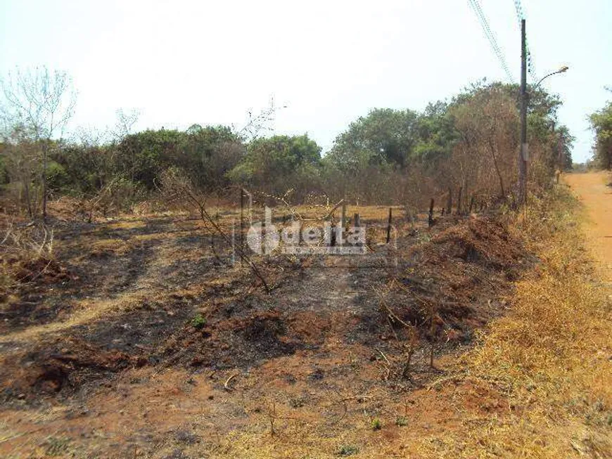 Foto 1 de Lote/Terreno à venda, 6058m² em Chácaras Tubalina E Quartel, Uberlândia