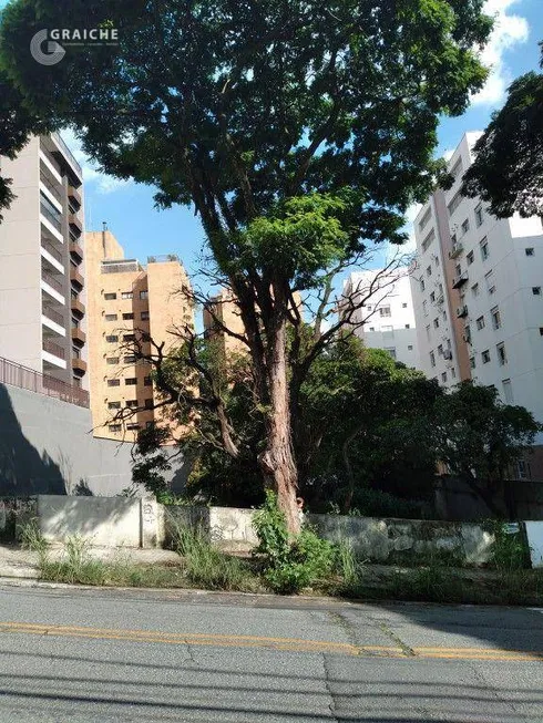 Foto 1 de Lote/Terreno à venda, 981m² em Vila Progredior, São Paulo