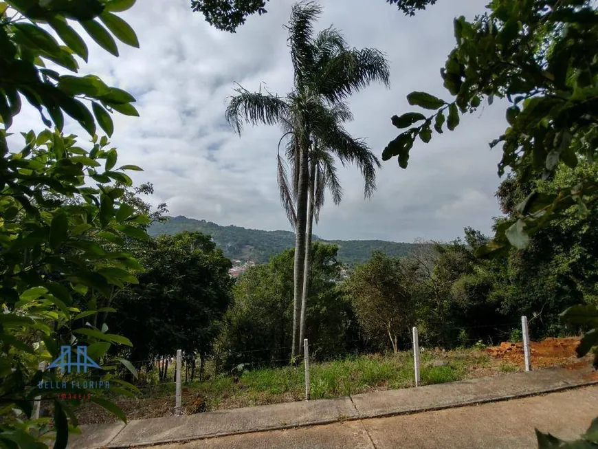 Foto 1 de Lote/Terreno à venda, 1008m² em Cachoeira do Bom Jesus, Florianópolis