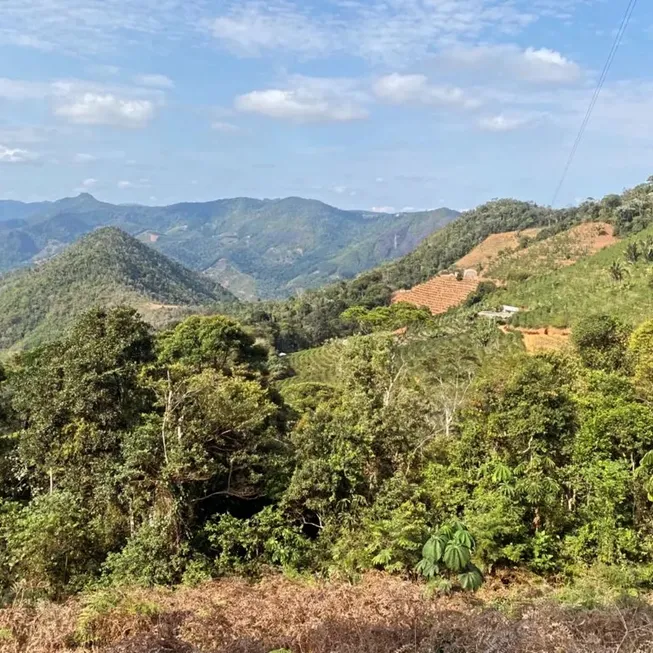 Foto 1 de Fazenda/Sítio à venda, 11000m² em Zona Rural, Santa Teresa