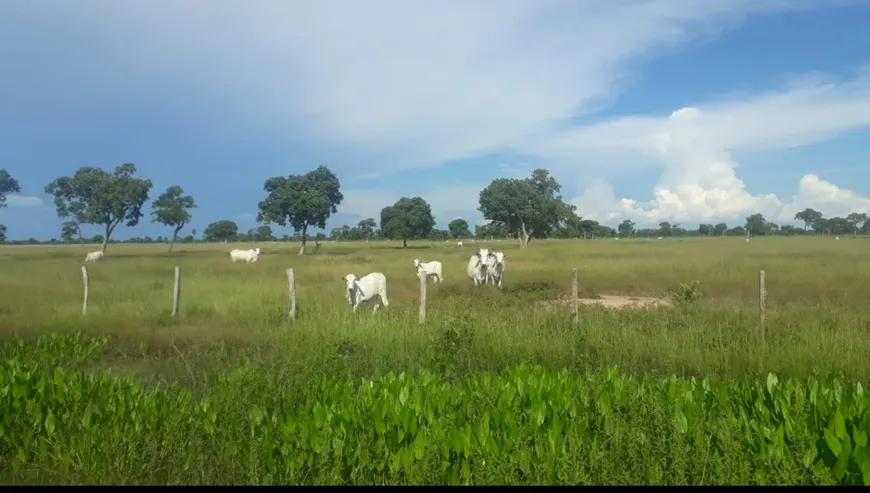 Foto 1 de Fazenda/Sítio com 3 Quartos à venda, 3500m² em Centro, Poconé