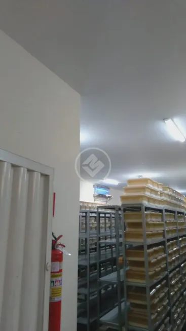 Foto 1 de Galpão/Depósito/Armazém à venda, 260m² em Alto Umuarama, Uberlândia