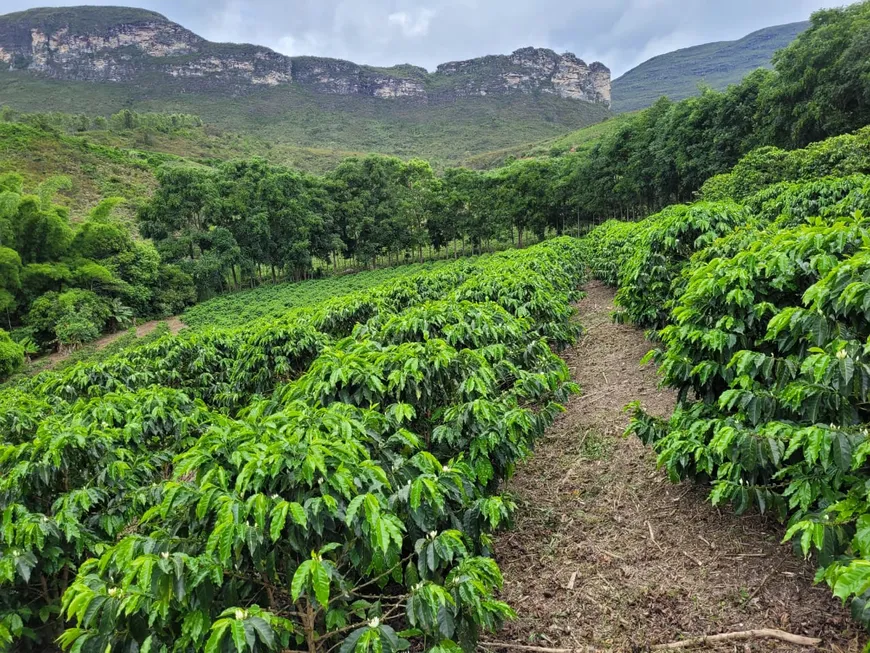 Foto 1 de Fazenda/Sítio à venda, 73000m² em Centro, Ibicoara