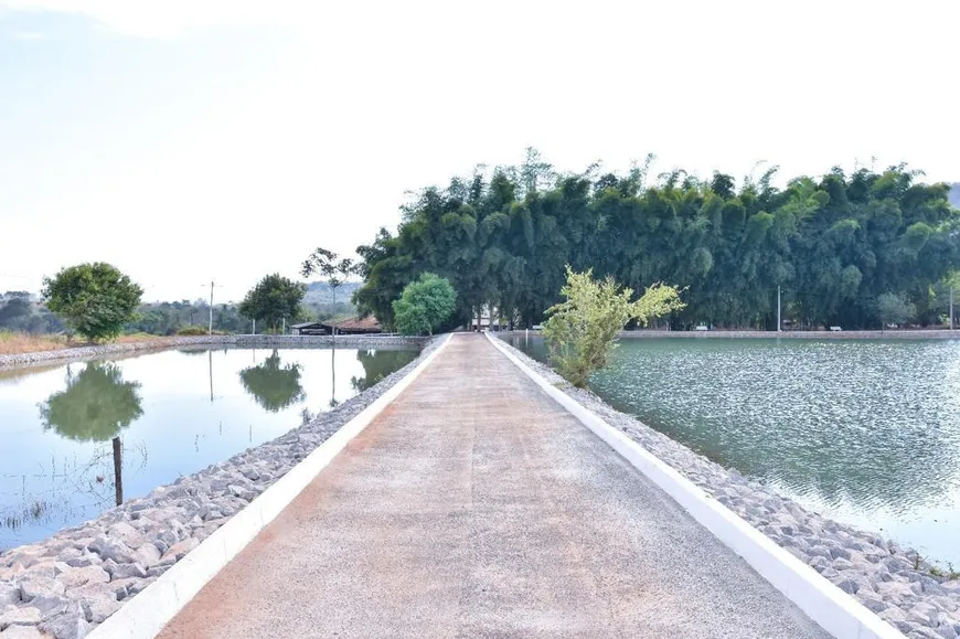 Foto 1 de Fazenda/Sítio com 7 Quartos à venda em Residencial Parque dos Girassois, Goianira