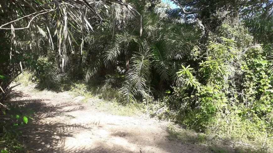 Foto 1 de Fazenda/Sítio à venda, 1300000m² em Zona Rural, Jandaíra