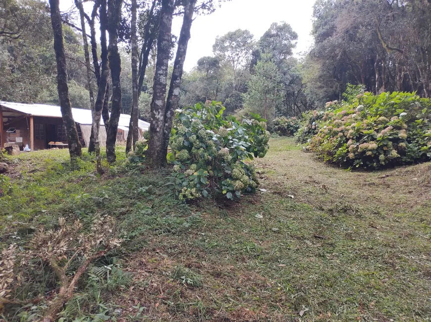 Foto 1 de Fazenda/Sítio com 2 Quartos à venda, 398000m² em , Delfim Moreira