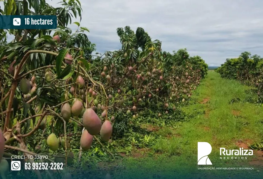 Foto 1 de Fazenda/Sítio à venda, 16m² em Centro, Porto Alegre do Tocantins