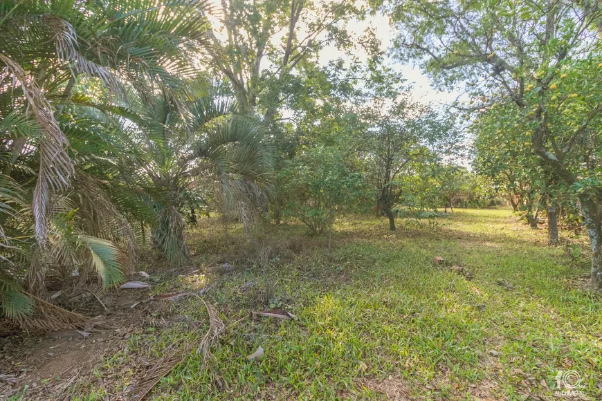 Foto 1 de Lote/Terreno à venda, 410m² em Vicentina, São Leopoldo