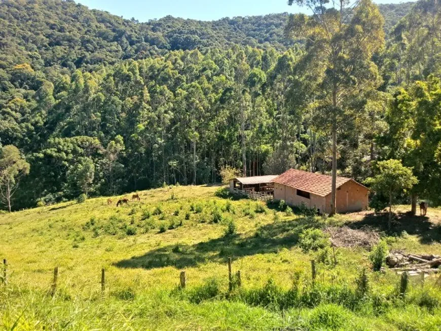 Foto 1 de Fazenda/Sítio com 4 Quartos à venda, 350000m² em Zona Rural, Delfim Moreira