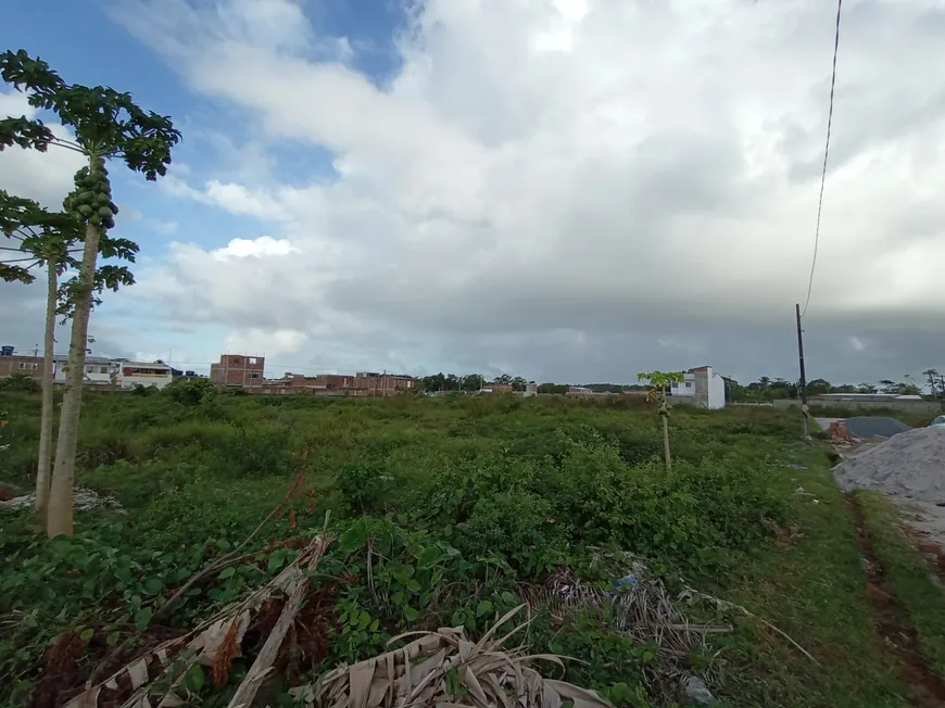 Foto 1 de Lote/Terreno à venda, 800m² em Nossa Senhora do Ó, Ipojuca