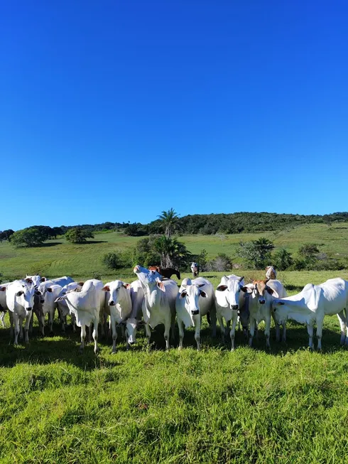 Foto 1 de Fazenda/Sítio com 4 Quartos à venda, 82m² em Zona Rural, Brejinho