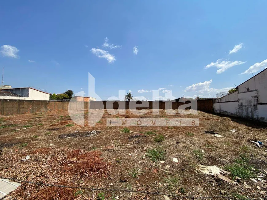 Foto 1 de Lote/Terreno à venda, 900m² em Segismundo Pereira, Uberlândia