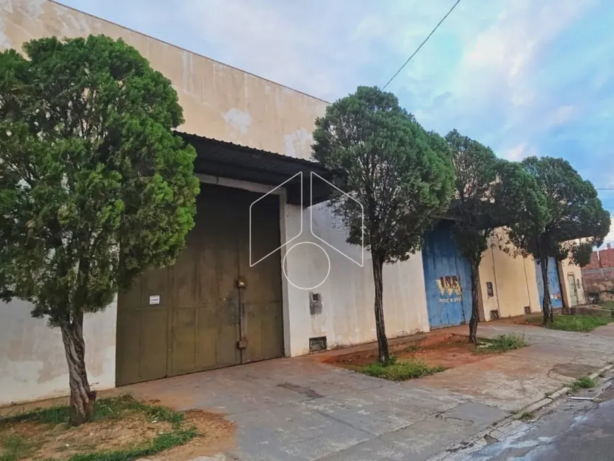 Foto 1 de Galpão/Depósito/Armazém à venda, 280m² em Jardim Vitória, Marília