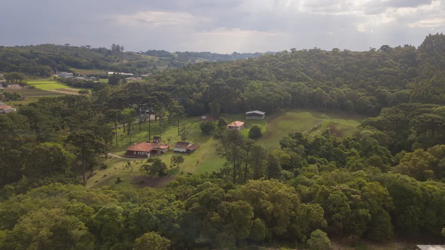 Foto 1 de Fazenda/Sítio com 4 Quartos à venda, 250m² em Ribeirao das Oncas, Colombo