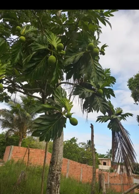 Foto 1 de Lote/Terreno à venda, 260m² em Cassange, Salvador