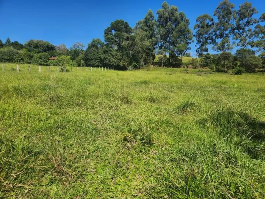 Foto 1 de Lote/Terreno com 1 Quarto à venda, 1500m² em , Silvianópolis