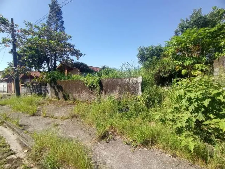 Foto 1 de Lote/Terreno à venda, 275m² em Jardim Regina, Itanhaém