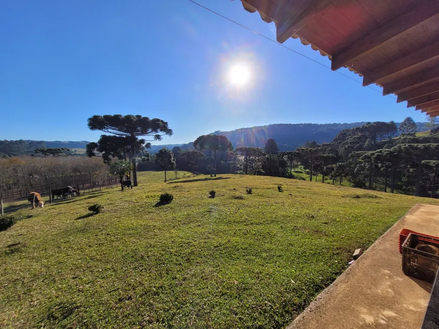 Foto 1 de Fazenda/Sítio à venda, 12000m² em Bela Alianca, São Bento do Sul