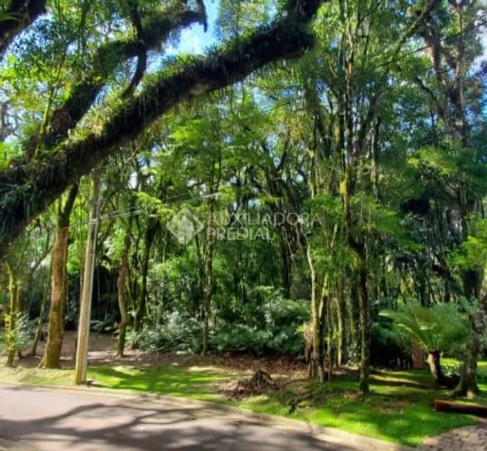 Foto 1 de Lote/Terreno à venda, 1284m² em Mato Queimado, Gramado