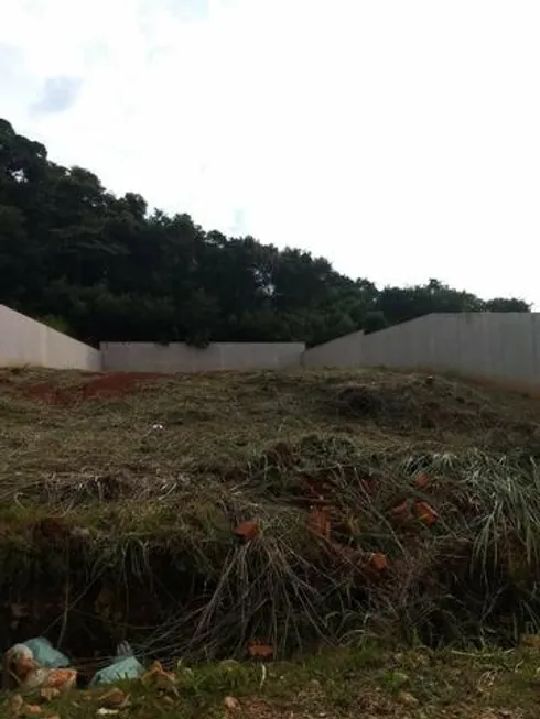 Foto 1 de Lote/Terreno à venda, 427m² em Estrela, Ponta Grossa