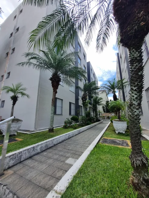 Foto 1 de Apartamento com 2 Quartos para alugar, 50m² em Vila Buenos Aires, São Paulo