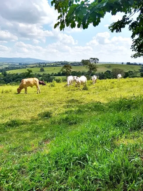 Foto 1 de Lote/Terreno à venda em Centro Empresarial Castelo Branco, Boituva